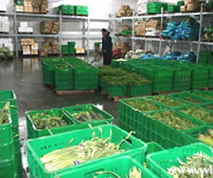 塑料周轉筐能用多少年？